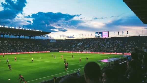 Scommesse Group F Mondiali: Olanda e Giappone aprono il girone, la nostra multipla